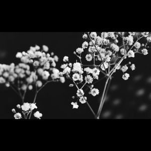 Meet your Posher, Ceila